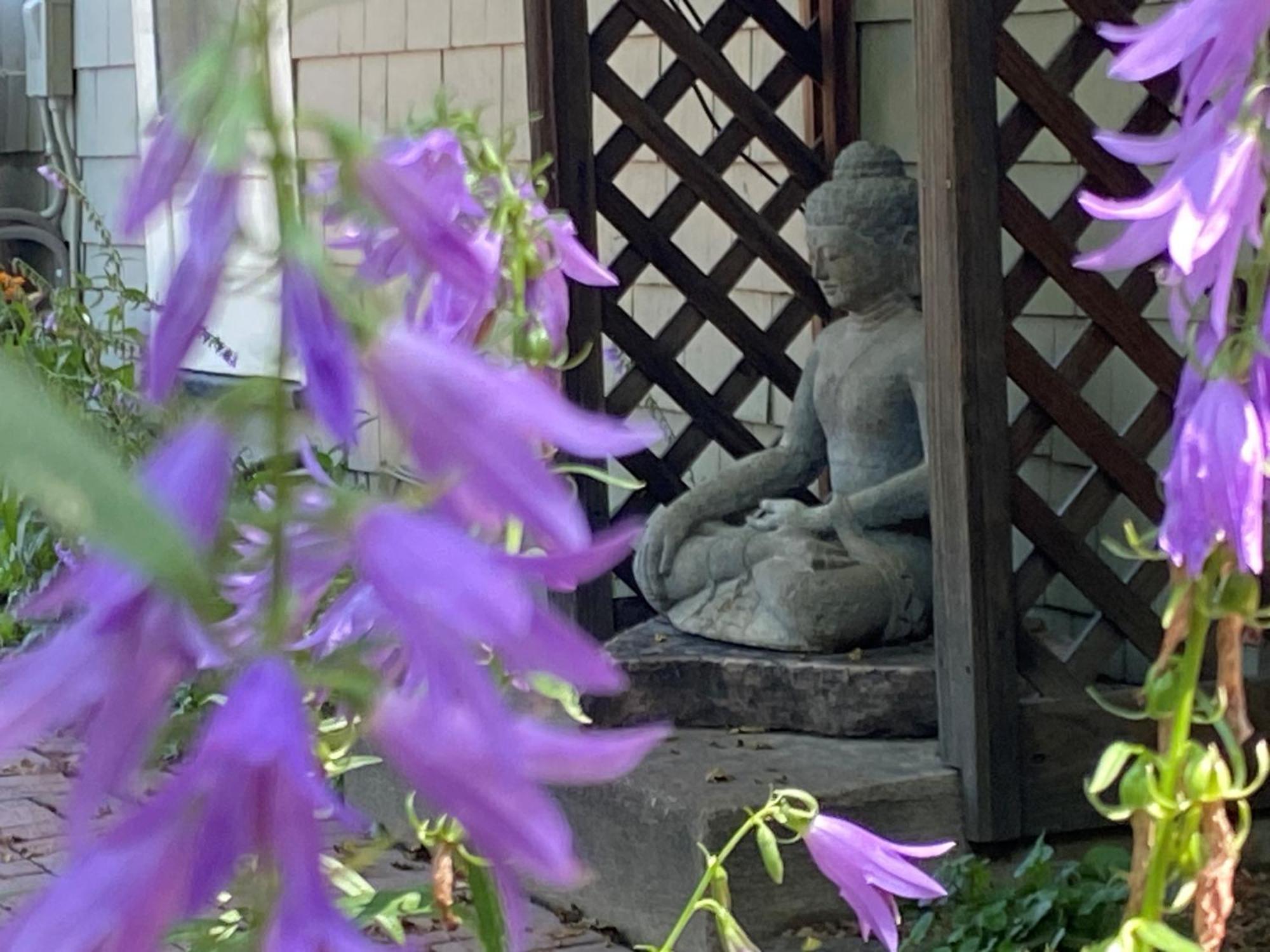 Boulder Guest House 外观 照片