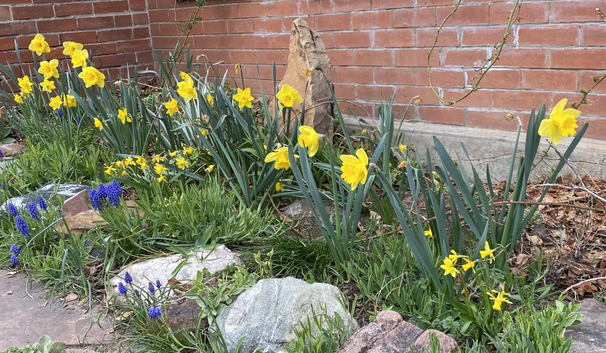 Boulder Guest House 外观 照片